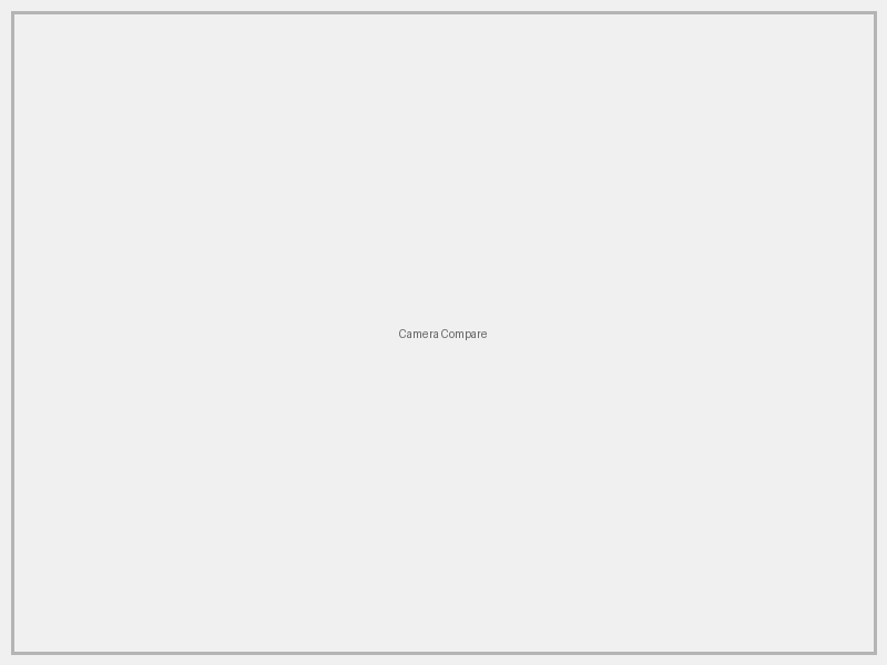 Adult Content production  